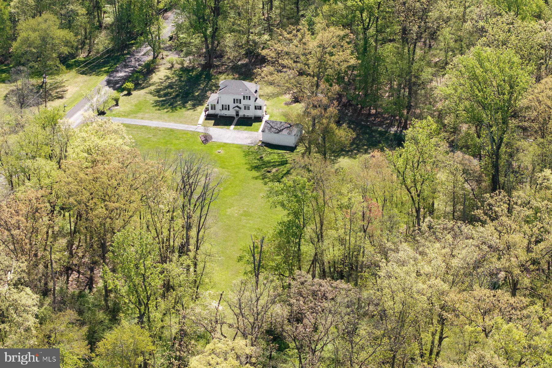 1856 Ringing Rocks Road Upper Black Eddy, PA 18972 - Photo 43 of 49 Serene retreat amid lush greenery.