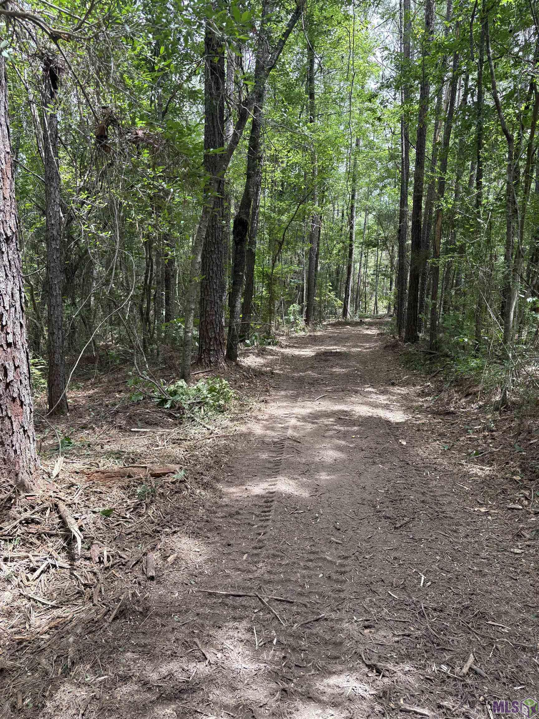 83166 Isabel Swamp Road Bush, LA 70431 - Photo 11 of 20