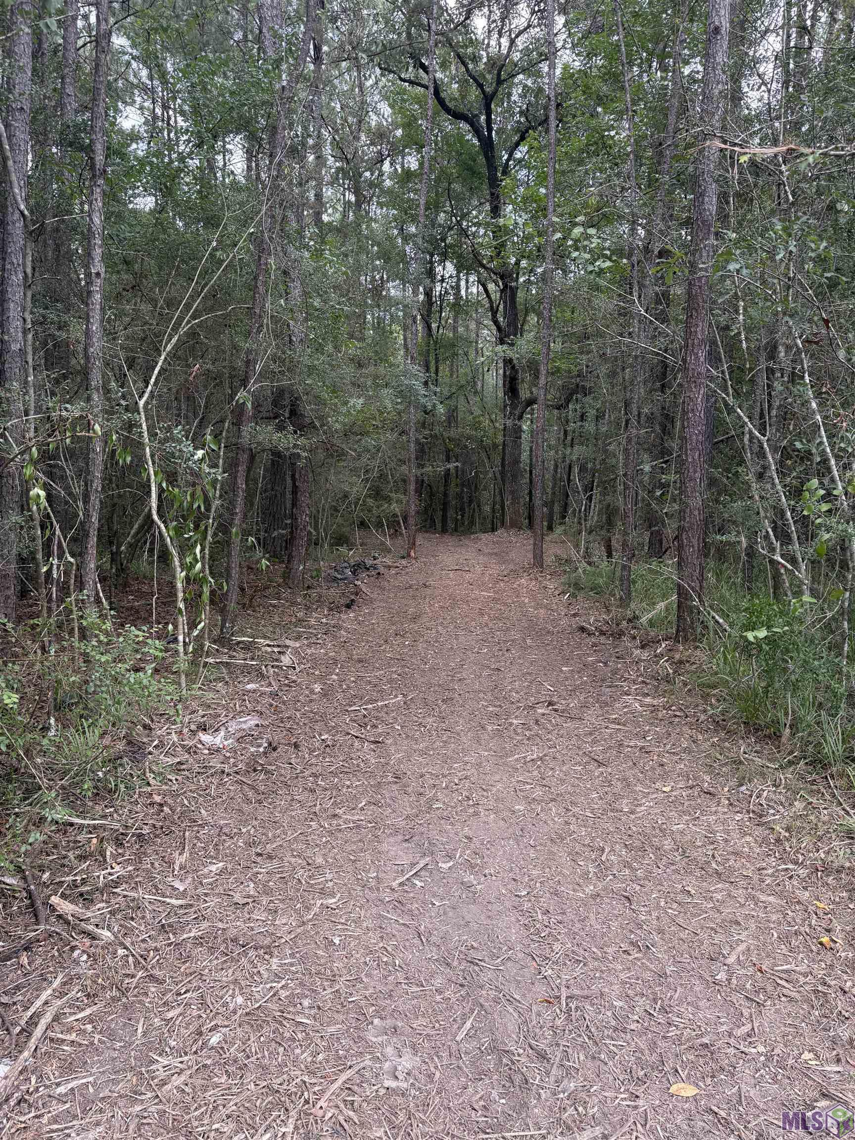 83166 Isabel Swamp Road Bush, LA 70431 - Photo 15 of 20