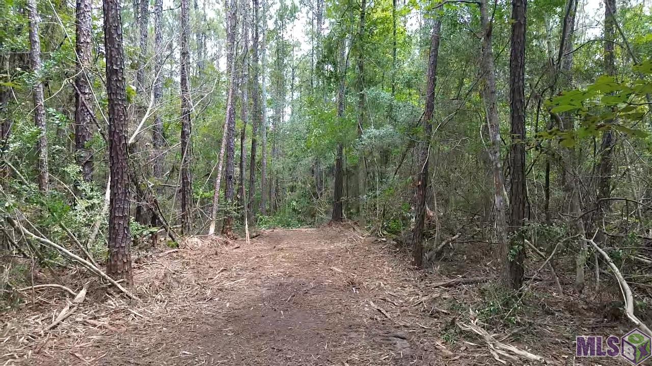 83166 Isabel Swamp Road Bush, LA 70431 - Photo 17 of 20