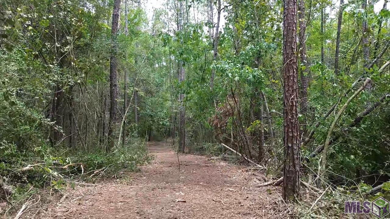 83166 Isabel Swamp Road Bush, LA 70431 - Photo 18 of 20