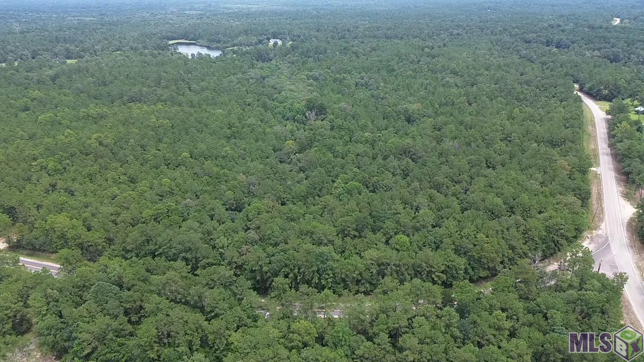 83166 Isabel Swamp Road Bush, LA 70431 - Photo 2 of 20