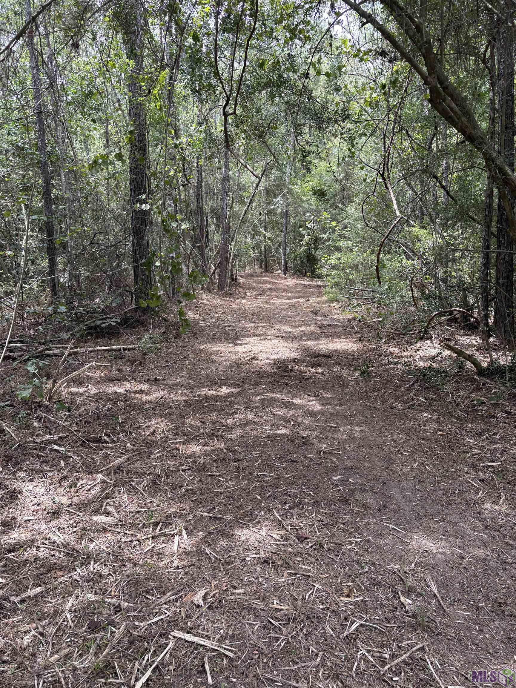 83166 Isabel Swamp Road Bush, LA 70431 - Photo 7 of 20