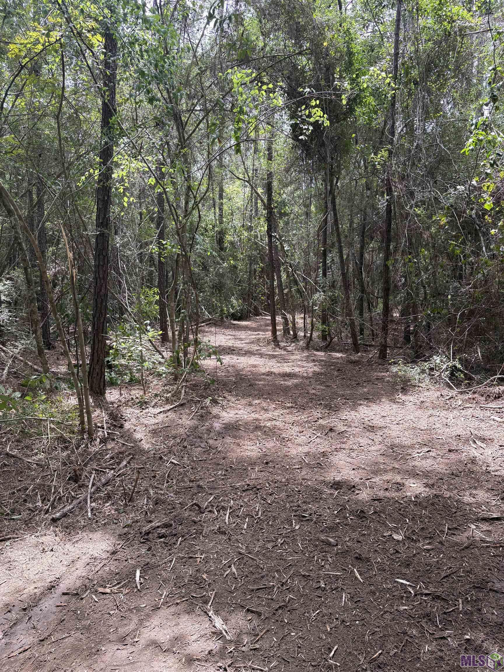 83166 Isabel Swamp Road Bush, LA 70431 - Photo 8 of 20