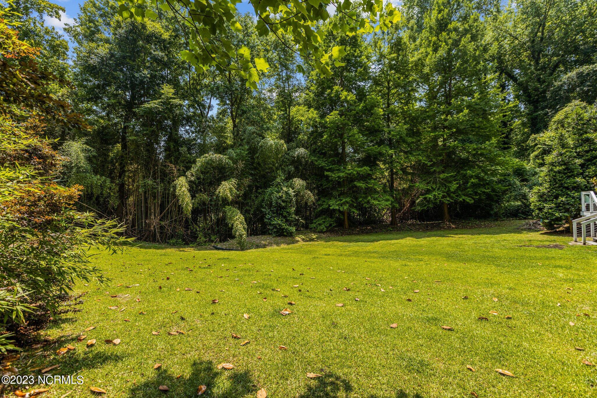 213 Alderson Road Washington, NC 27889 - Photo 47 of 50 43-web-or-mls-IMGL5384