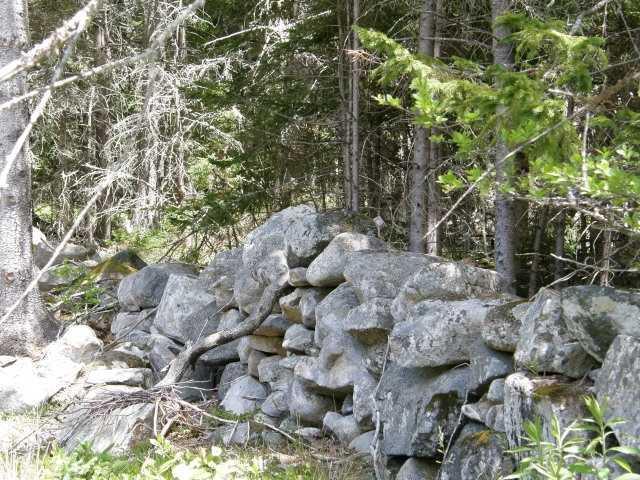 5 Old Woods Road Tenants Harbor, ME 04860 - Photo 3 of 8 Land.