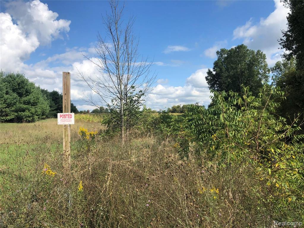 0 North Wilder Road Lapeer, MI 48446 - Photo 10 of 16
