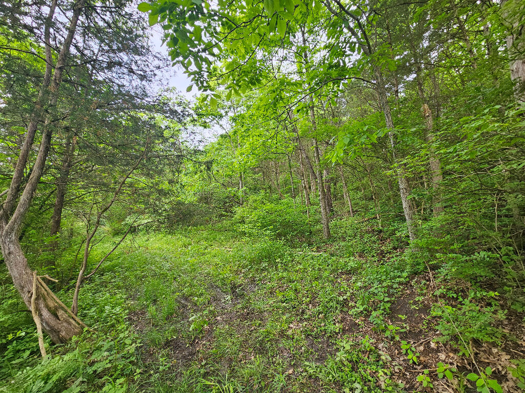8896 Stonehouse Road Alexandria, KY 41001 - Photo 6 of 7 Gallery Image 6