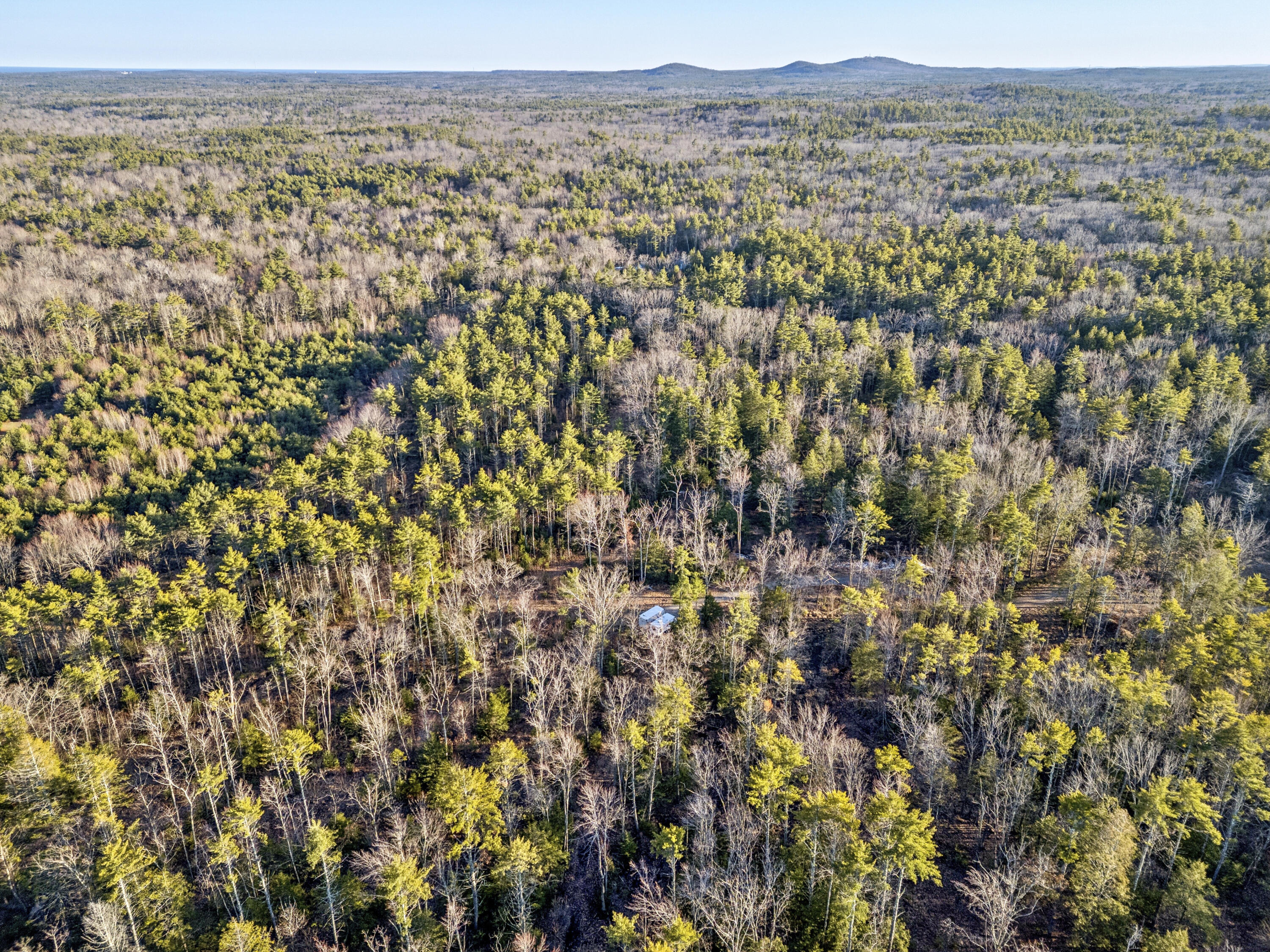 0 Cheney Woods Road Wells, ME 04090 - Photo 8 of 9 Cheney Woods 07