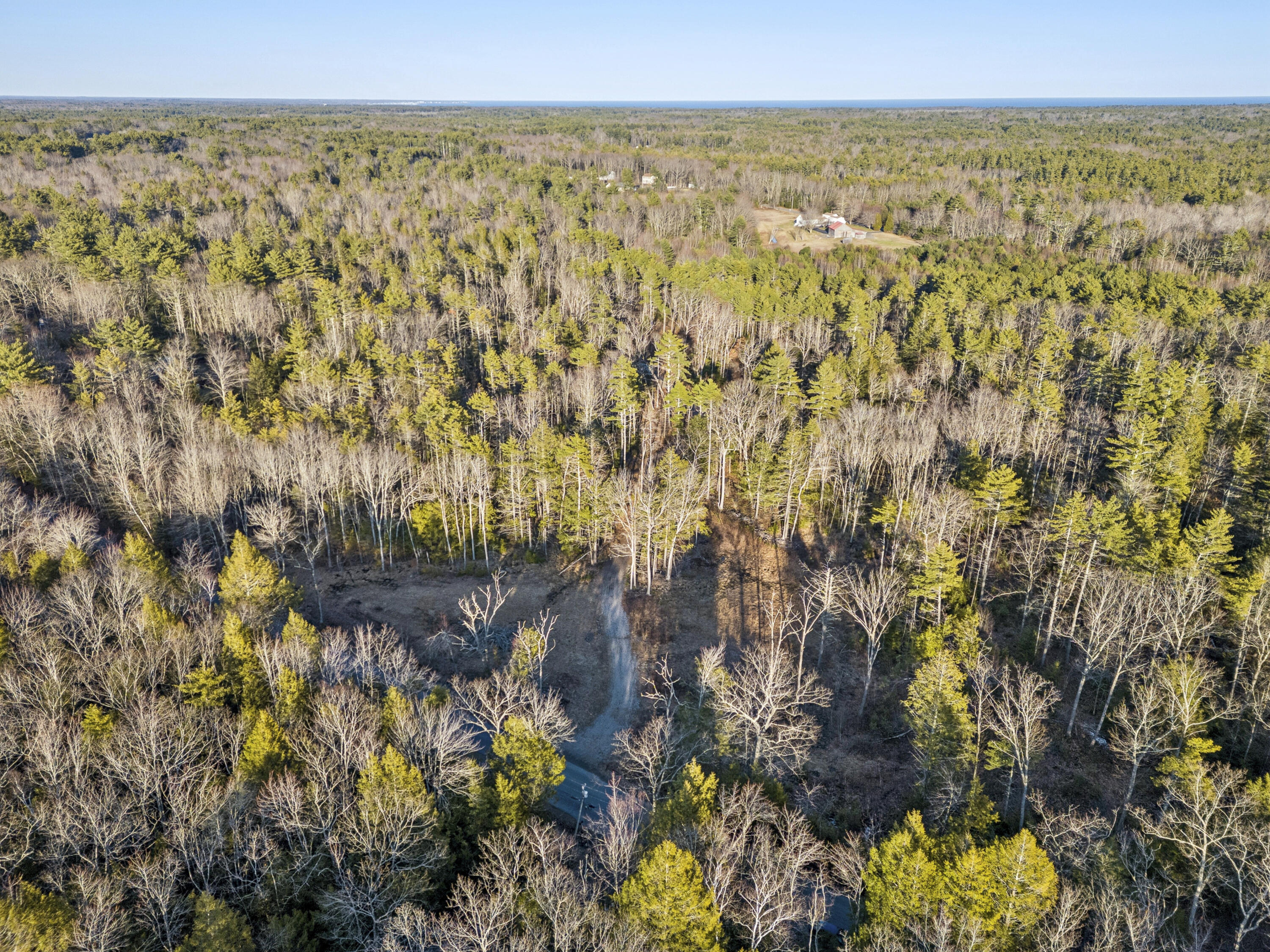 0 Cheney Woods Road Wells, ME 04090 - Photo 9 of 9 Cheney Woods 03