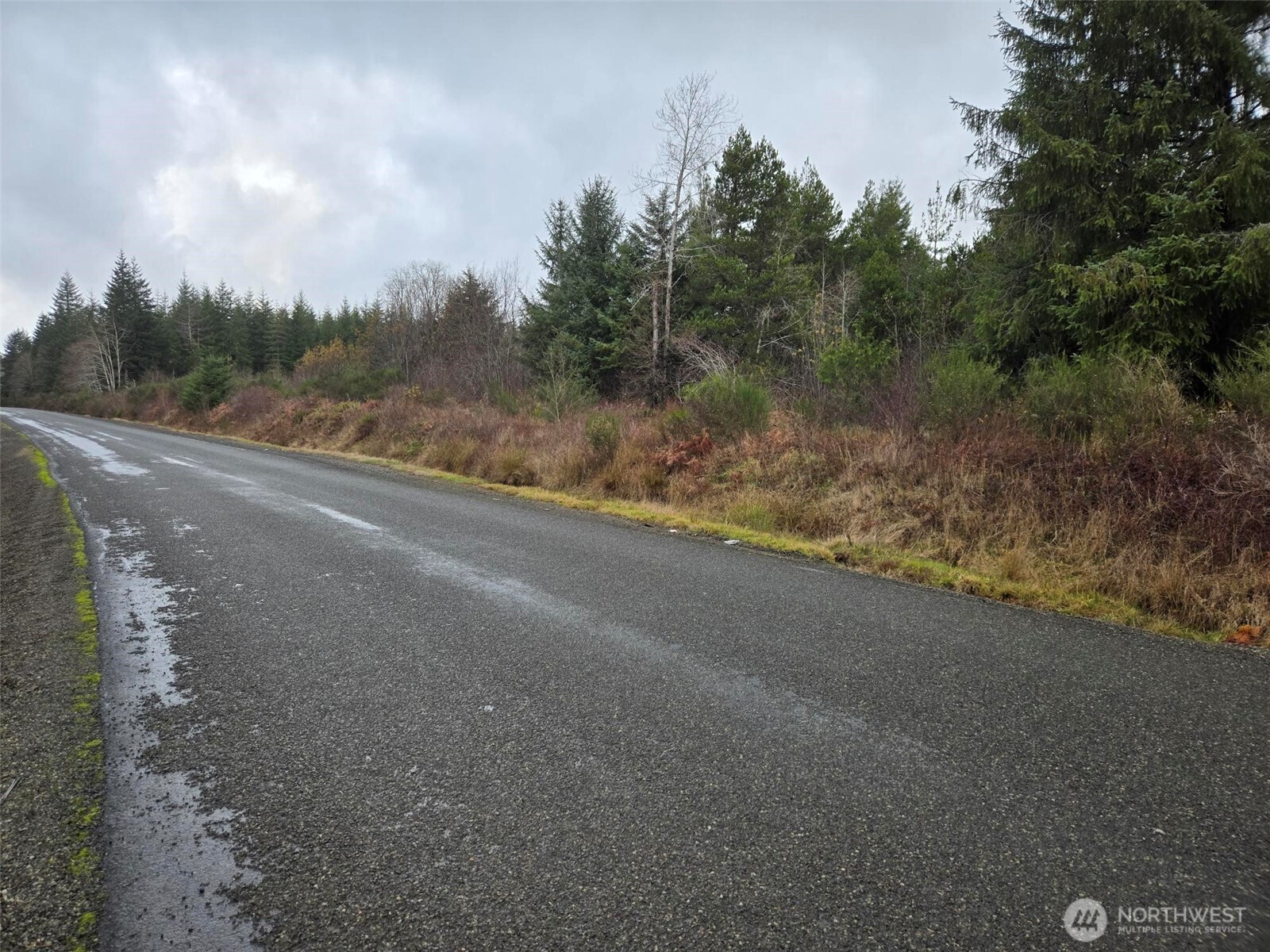 -nka Bowes Road North Hoquiam, WA 98550 - Photo 6 of 17 a view of a road with trees in the background