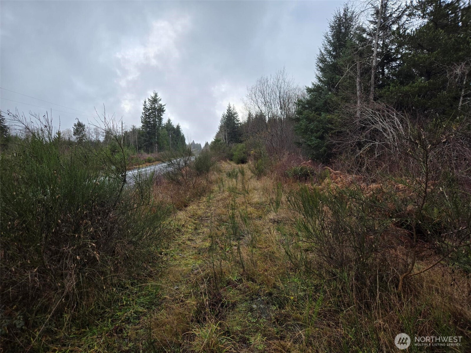 -nka Bowes Road North Hoquiam, WA 98550 - Photo 8 of 17 a view of a yard