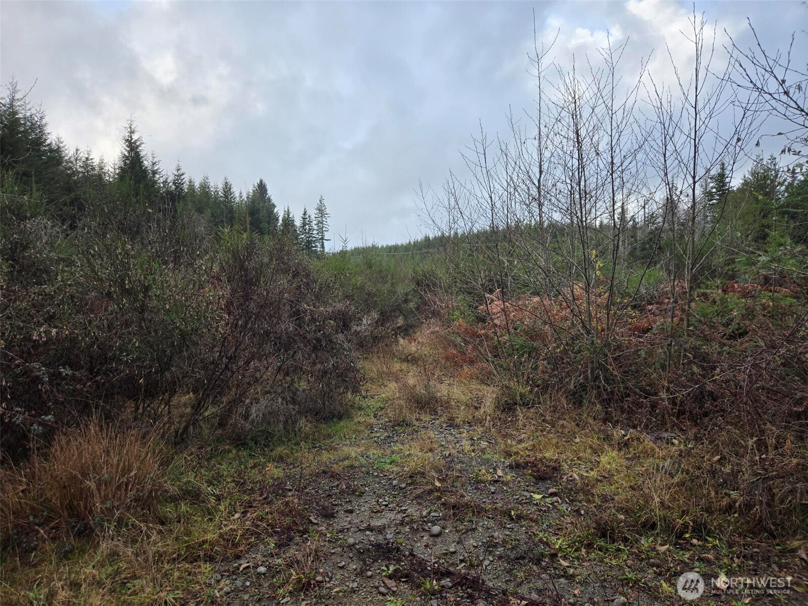 -nka Bowes Road North Hoquiam, WA 98550 - Photo 9 of 17 a view of a field