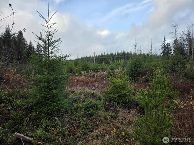 $79,000 | -nka Bowes Road North, Hoquiam, WA 98550