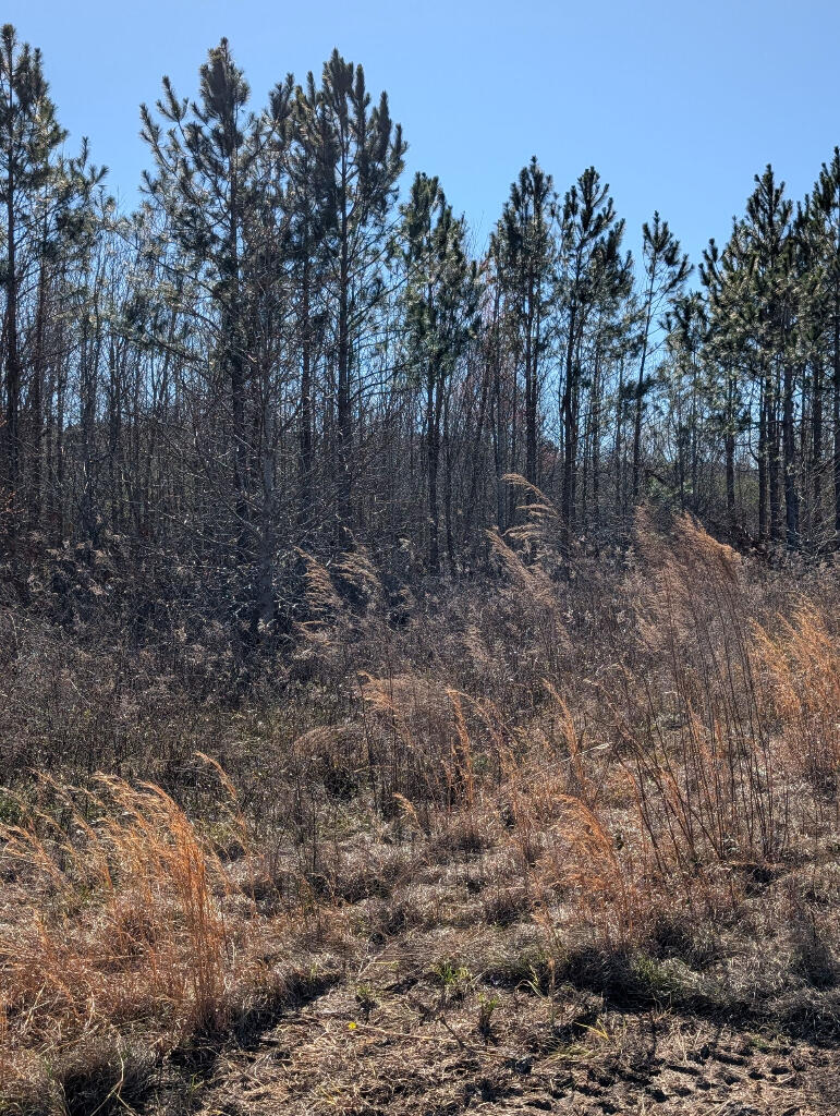 0 East A Goodson Road Wadley, GA 30477 - Photo 12 of 25 11