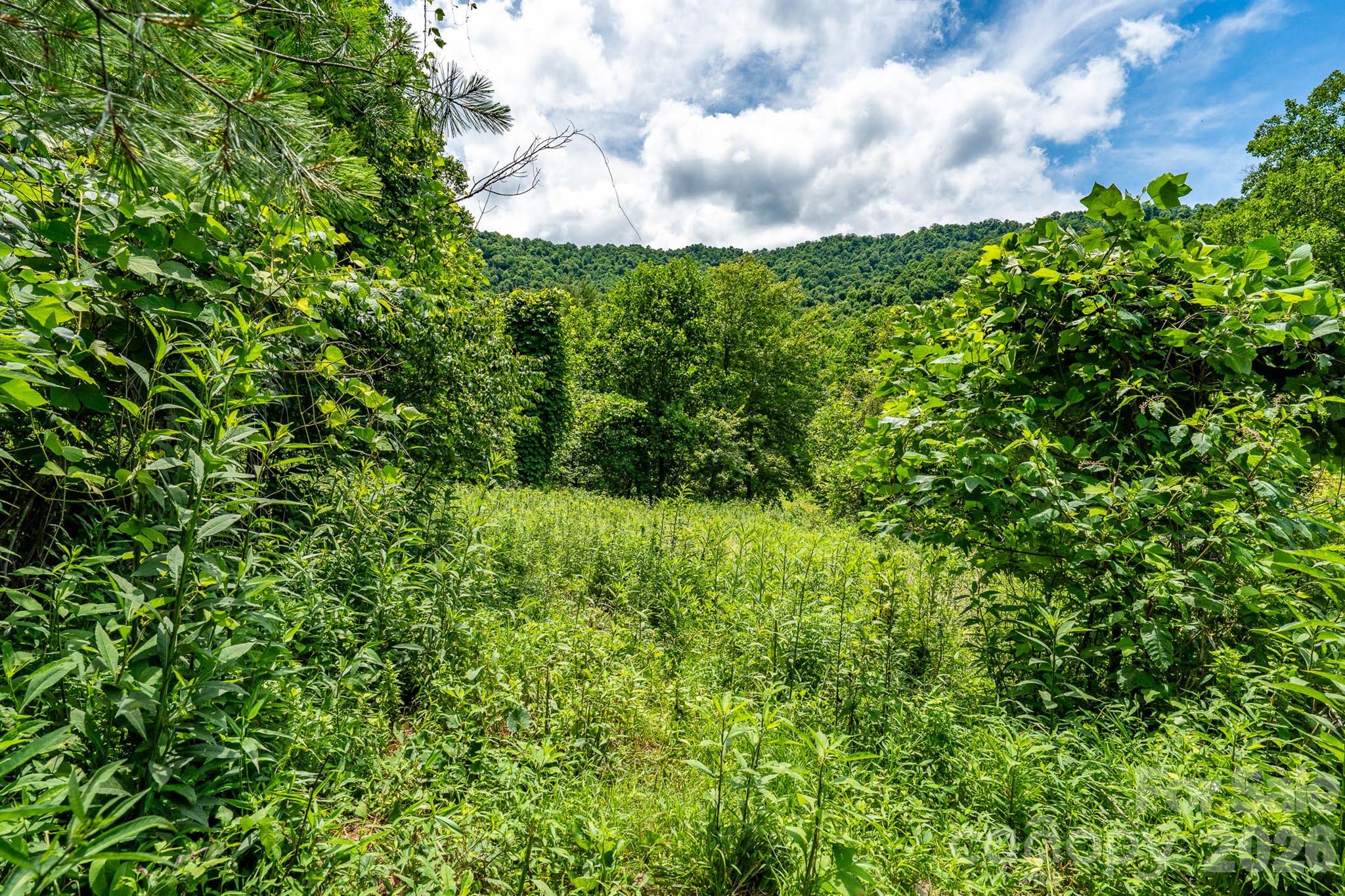 789 Jarrett Cove Road Marshall, NC 28753 - Photo 19 of 41