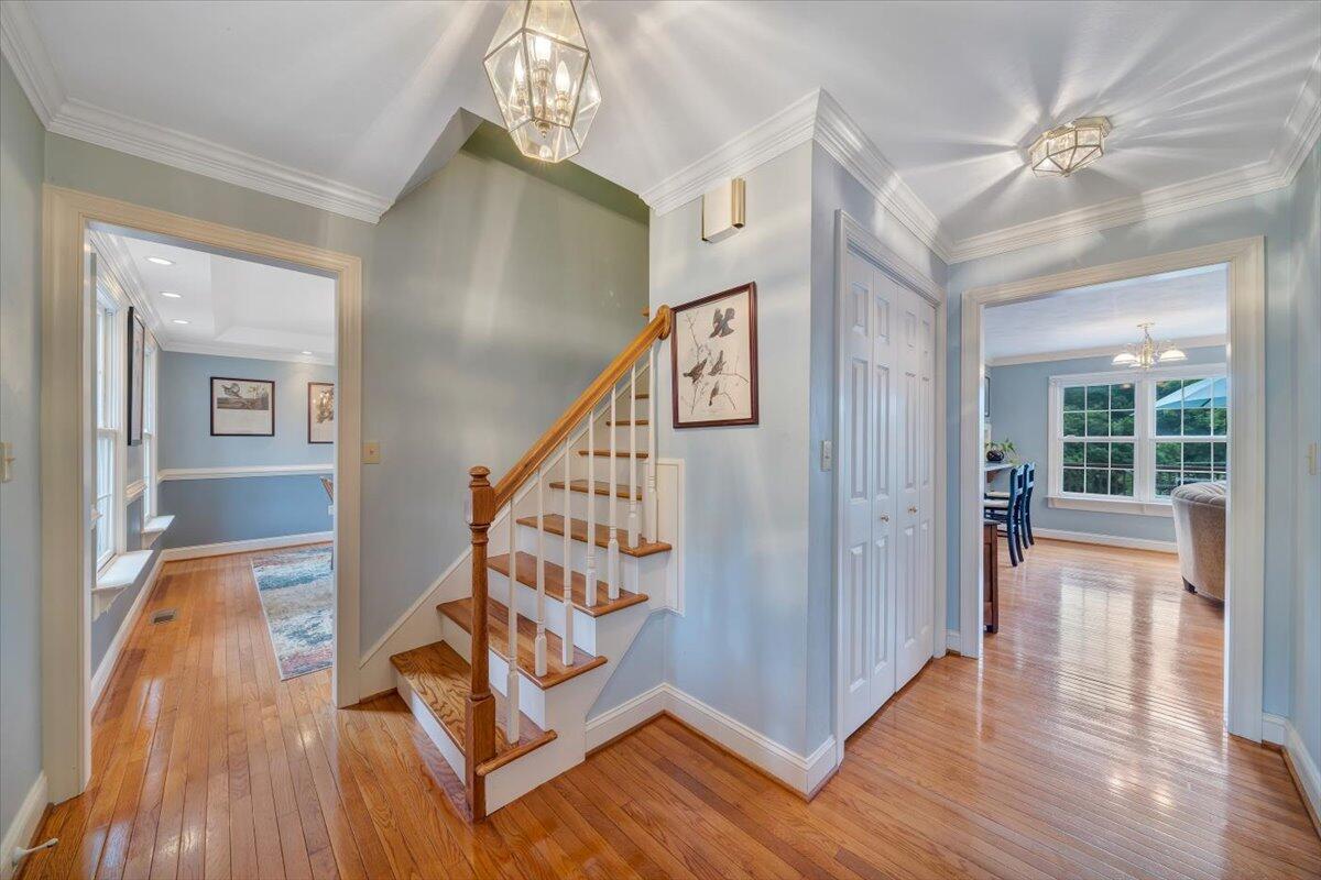 3722 Winding Way Road Southwest Roanoke, VA 24015 - Photo 34 of 63 06-Rapid Imagery-2368