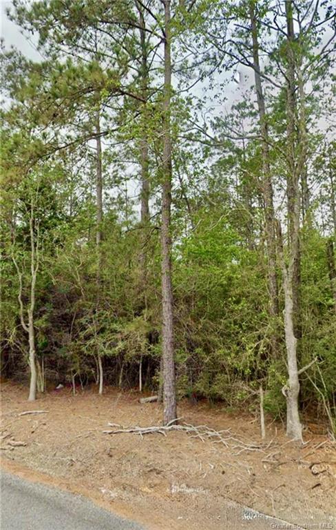 Lot 3 Sandy Lane Dequincy, LA 70633 - Photo 1 of 9