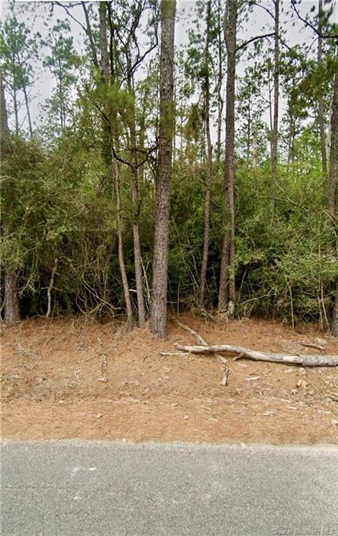 Lot 3 Sandy Lane Dequincy, LA 70633 - Photo 3 of 9