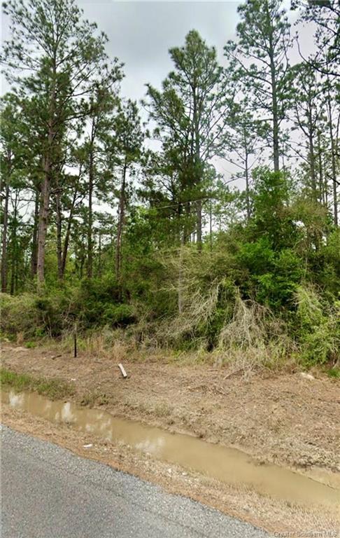 Lot 3 Sandy Lane Dequincy, LA 70633 - Photo 6 of 9