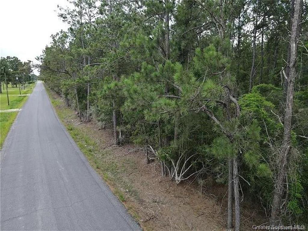Lot 3 Sandy Lane Dequincy, LA 70633 - Photo 9 of 9