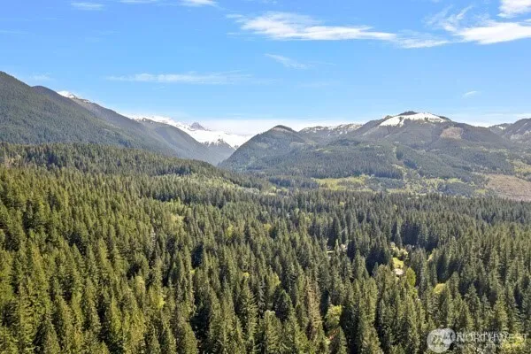 a view of a mountain range with lush green forest