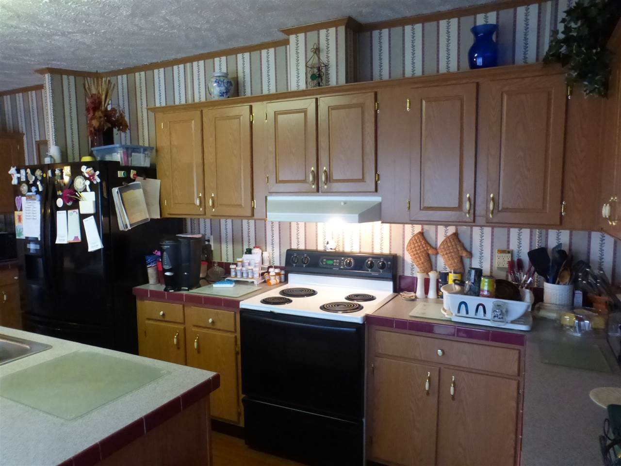 291 Massengill Pond Road Angier, NC 27501 - Photo 8 of 14 Kitchen