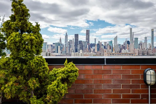a view of a backyard with plants and a patio