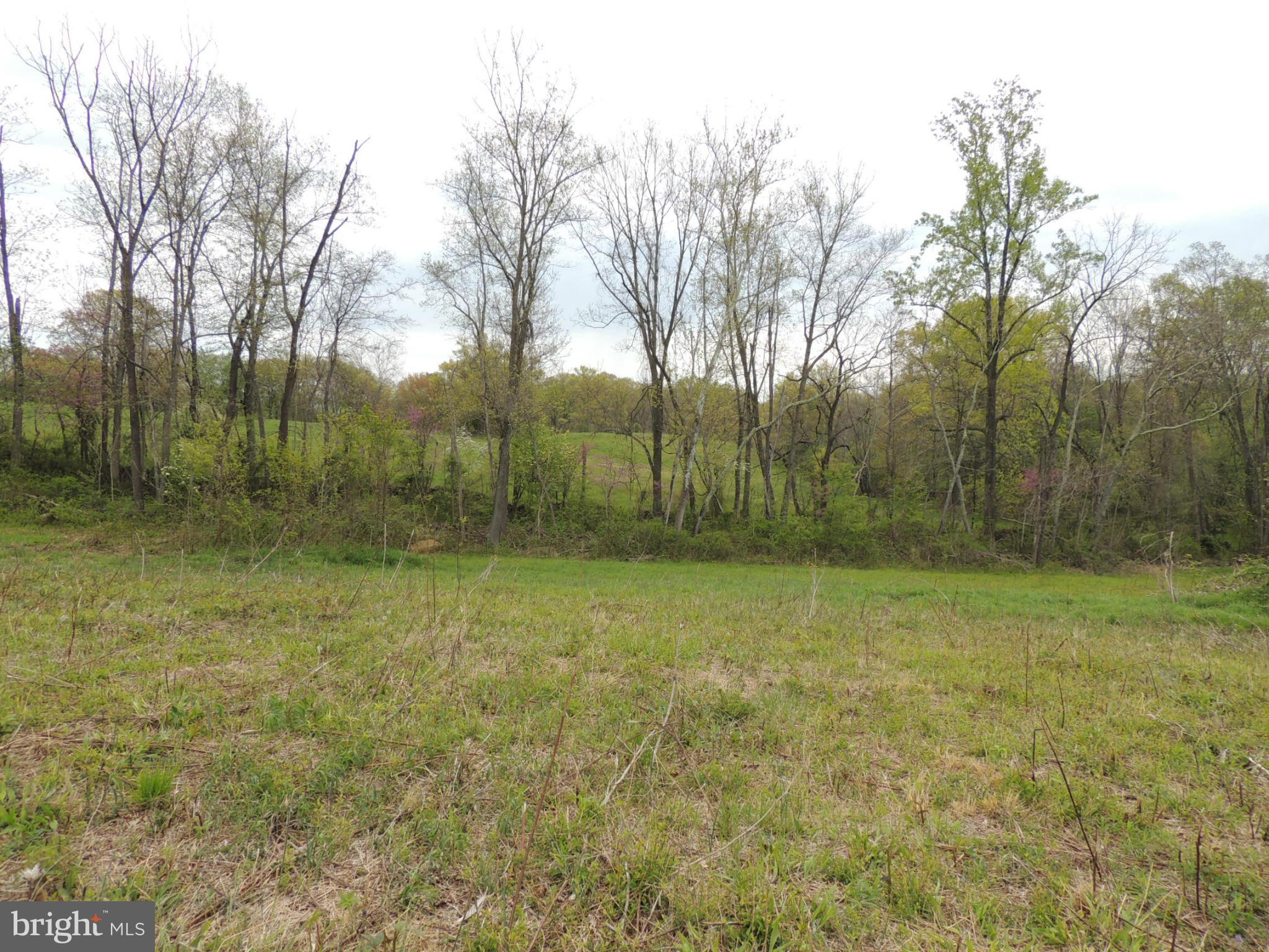 75 Flatwood Road Washington, VA 22747 - Photo 1 of 9 a view of a field with trees in the background