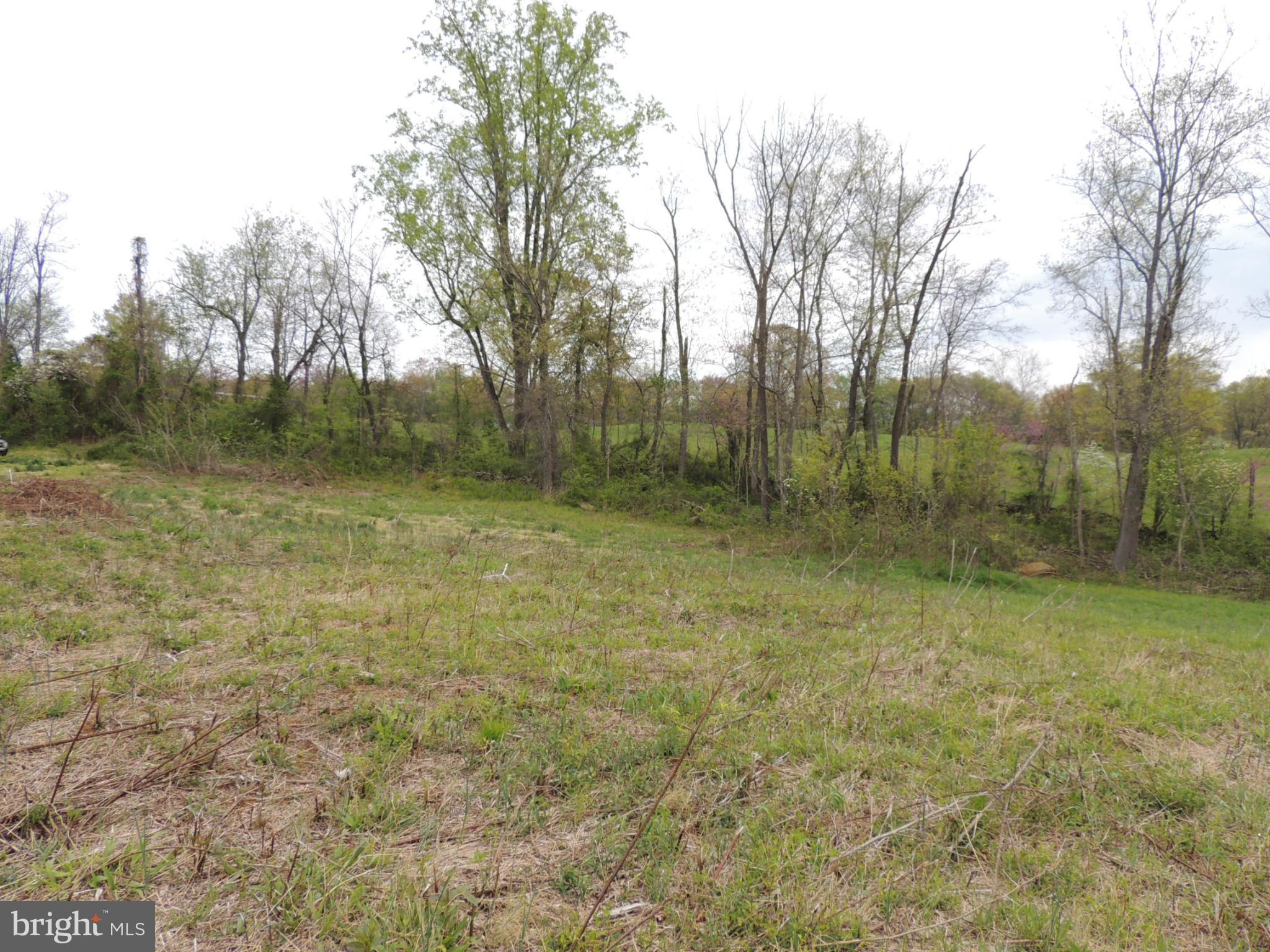 75 Flatwood Road Washington, VA 22747 - Photo 2 of 9 a view of a entertaining space