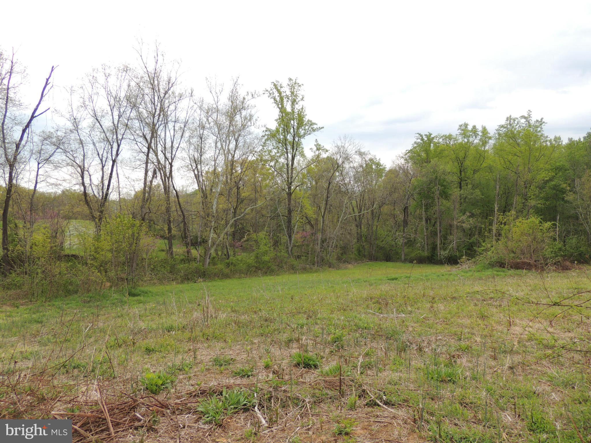 75 Flatwood Road Washington, VA 22747 - Photo 3 of 9 a view of a field with trees in the background
