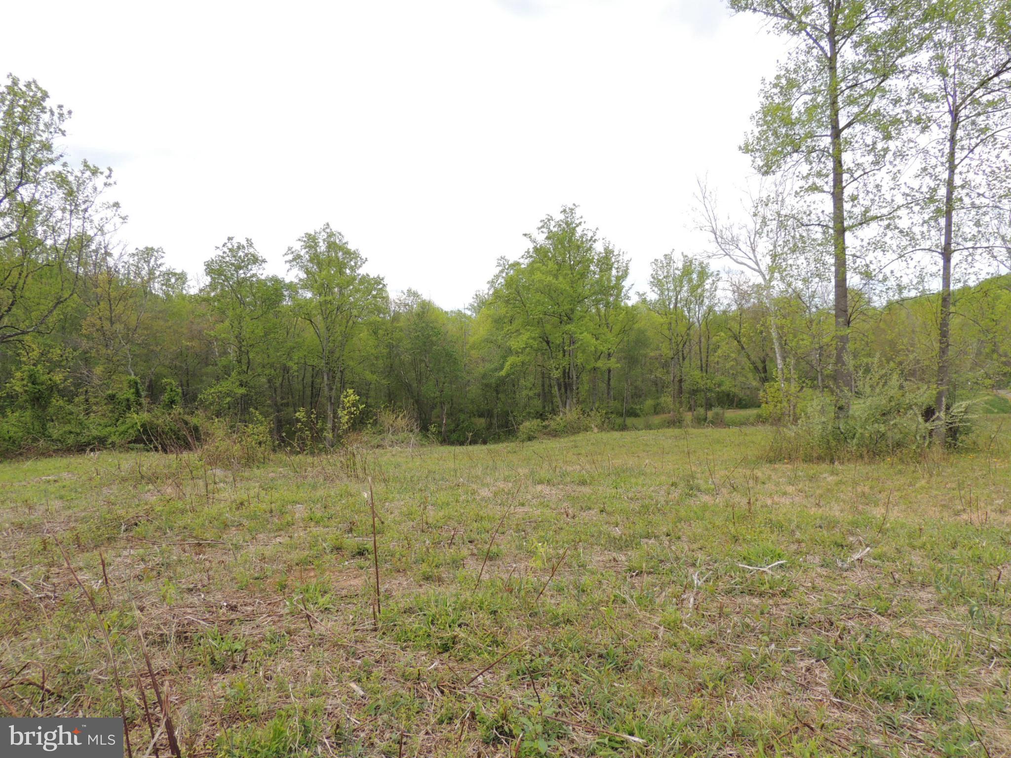 75 Flatwood Road Washington, VA 22747 - Photo 4 of 9 a view of a field with trees in the background