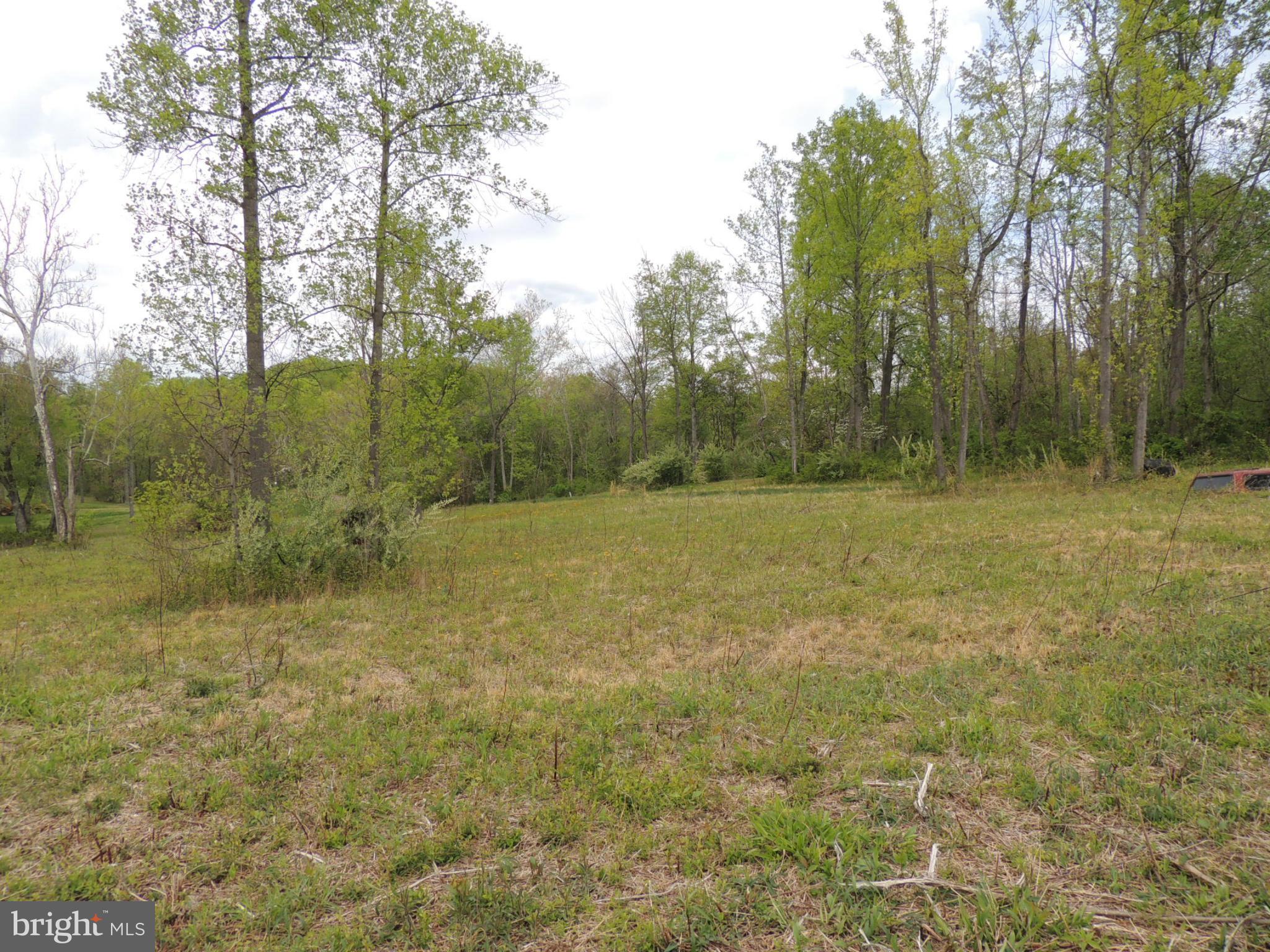 75 Flatwood Road Washington, VA 22747 - Photo 5 of 9 a view of a field with trees in the background