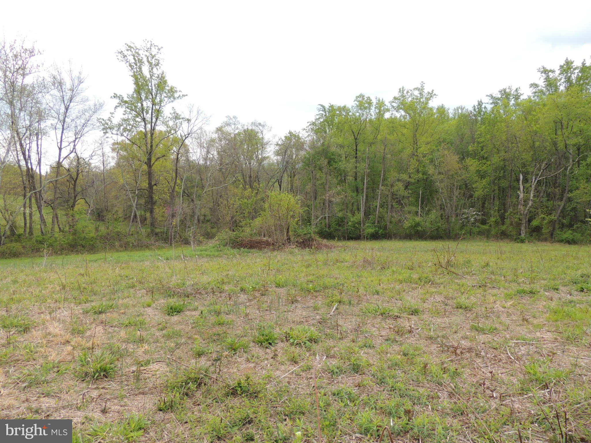75 Flatwood Road Washington, VA 22747 - Photo 6 of 9 a view of a yard