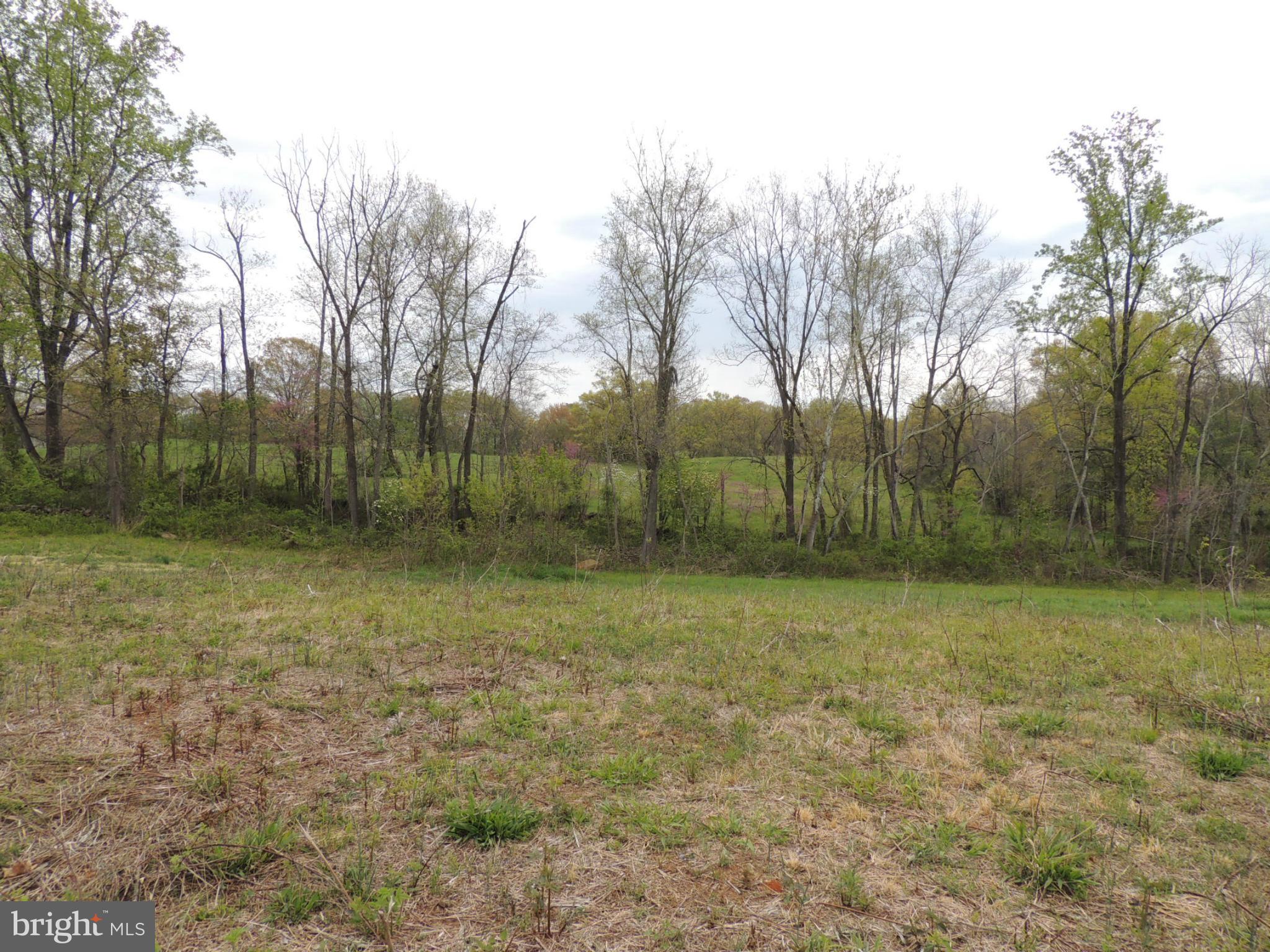 75 Flatwood Road Washington, VA 22747 - Photo 7 of 9 a view of a backyard