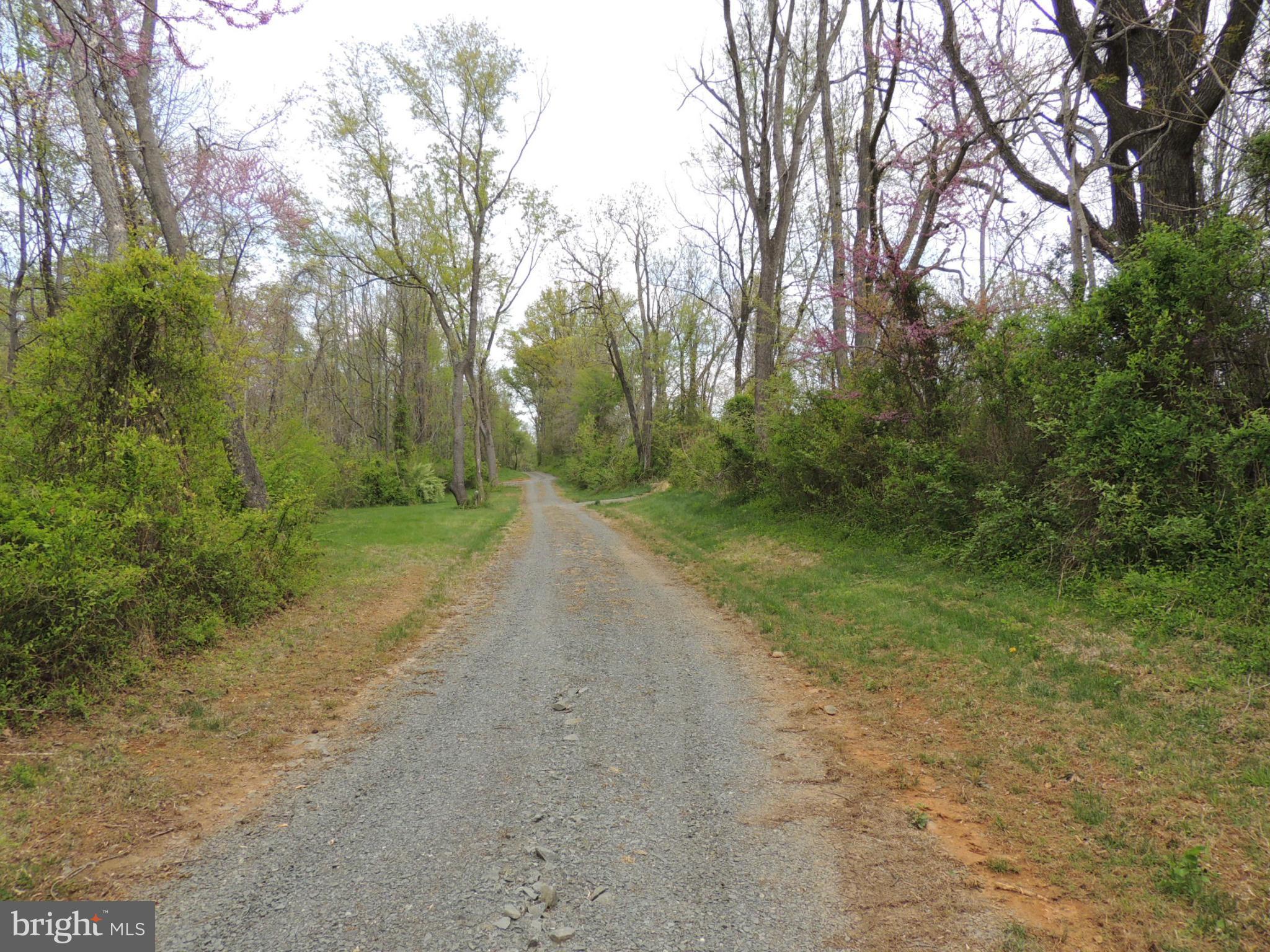 75 Flatwood Road Washington, VA 22747 - Photo 8 of 9 a view of a dirt road with trees in the background