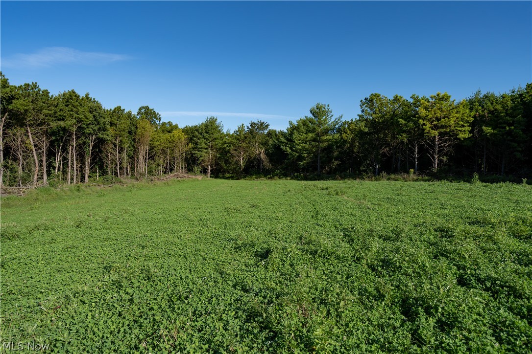 Perl Road Chandlersville, OH 43727 - Photo 4 of 50 Gallery Image 4