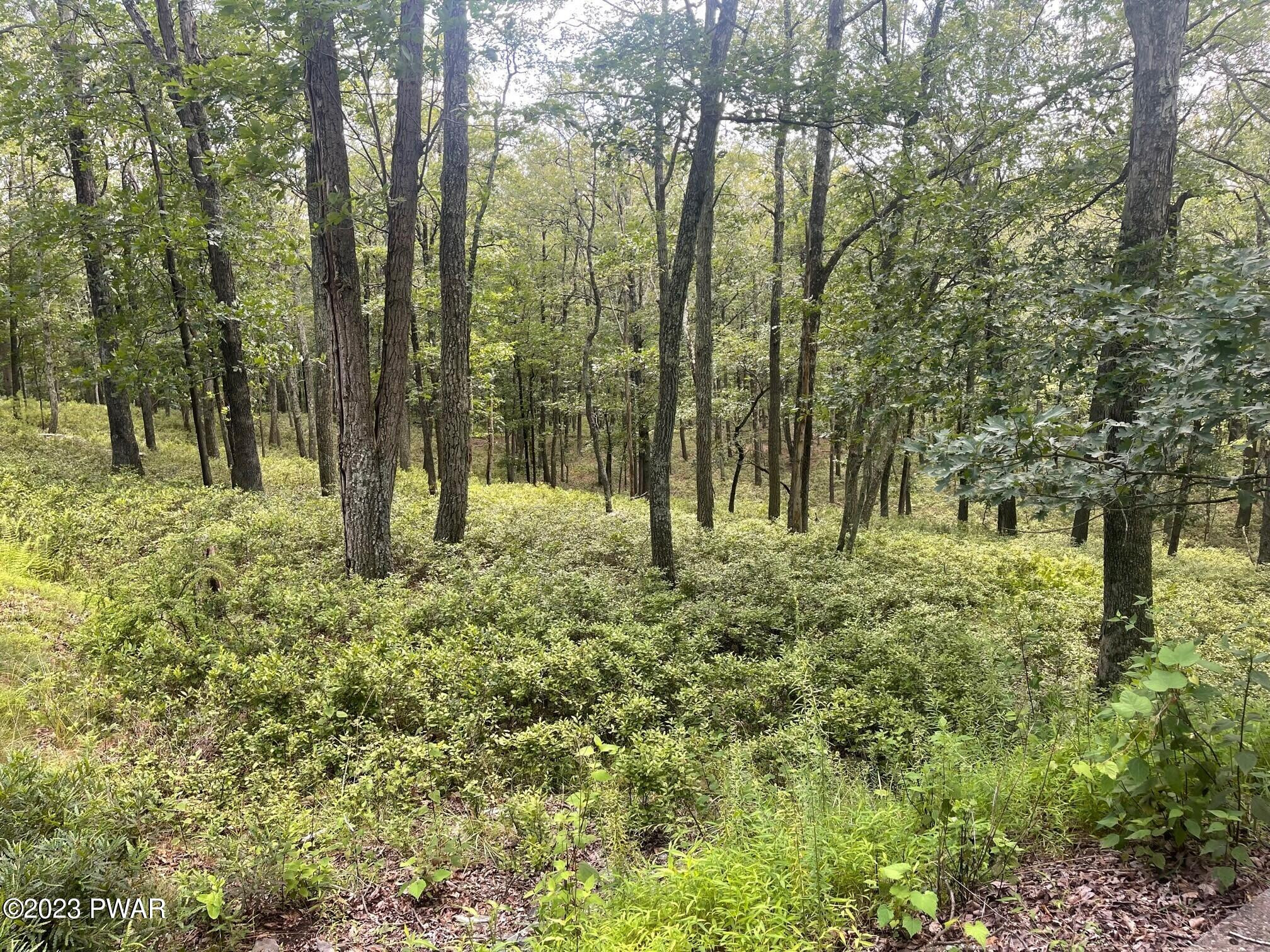 Lot 1 Olafsen Road Hawley, PA 18428 - Photo 4 of 8