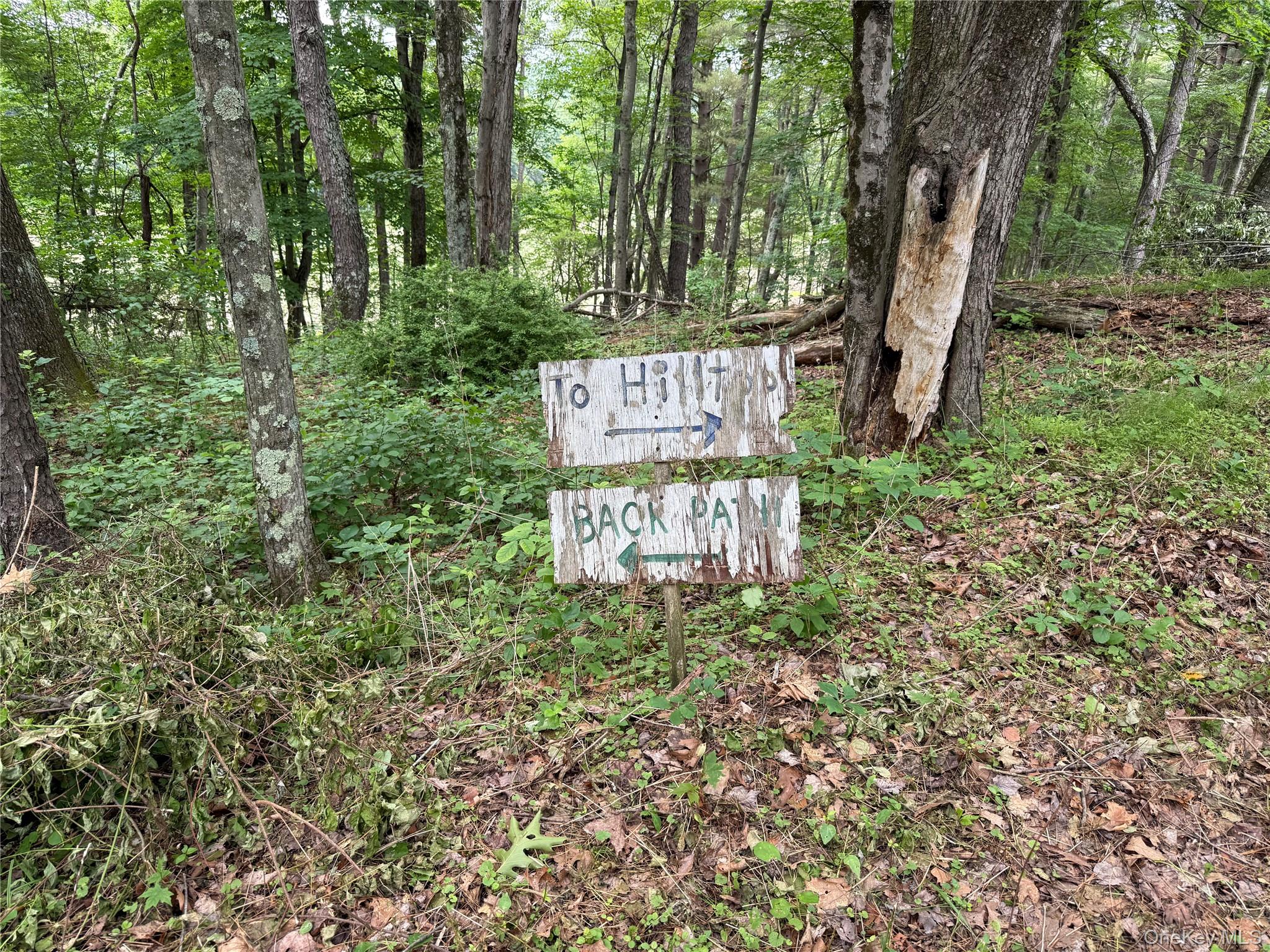 66 Ryan Road Pine Plains, NY 12567 - Photo 5 of 10 Driveway