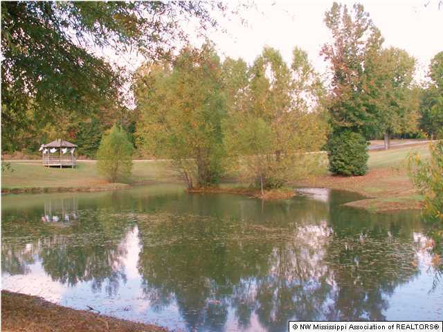 7187 Austin Road Lake Cormorant, MS 38641 - Photo 3 of 24 Additional Photo