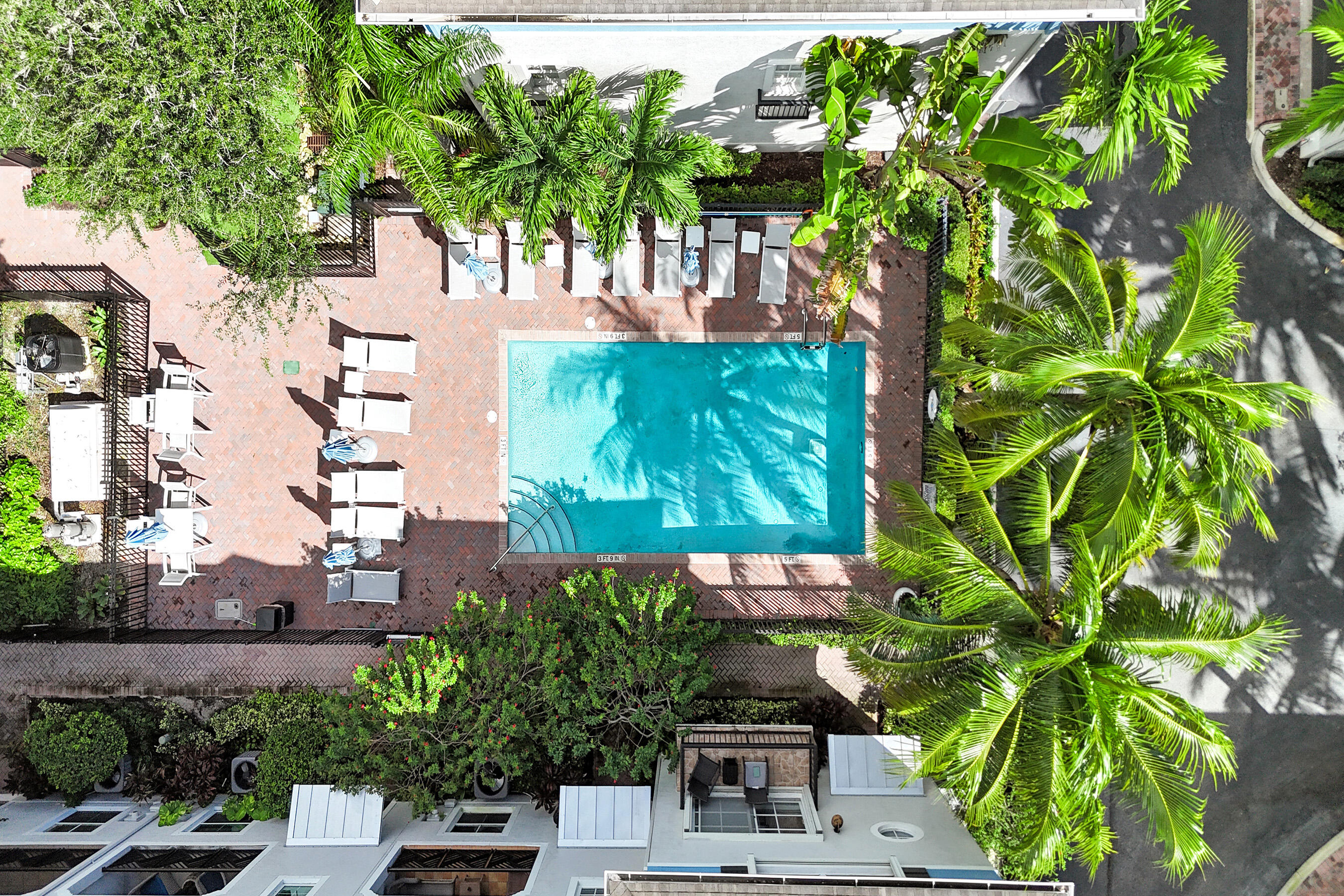 314 Northwest 1st Street Delray Beach, FL 33444 - Photo 4 of 26 a picture of plants