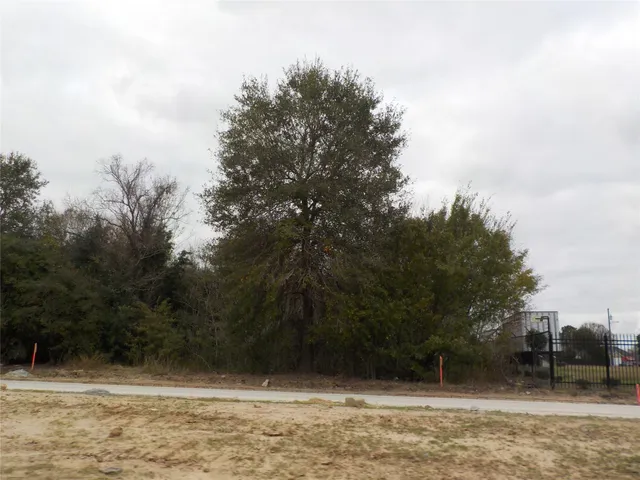 a view of backyard with green space