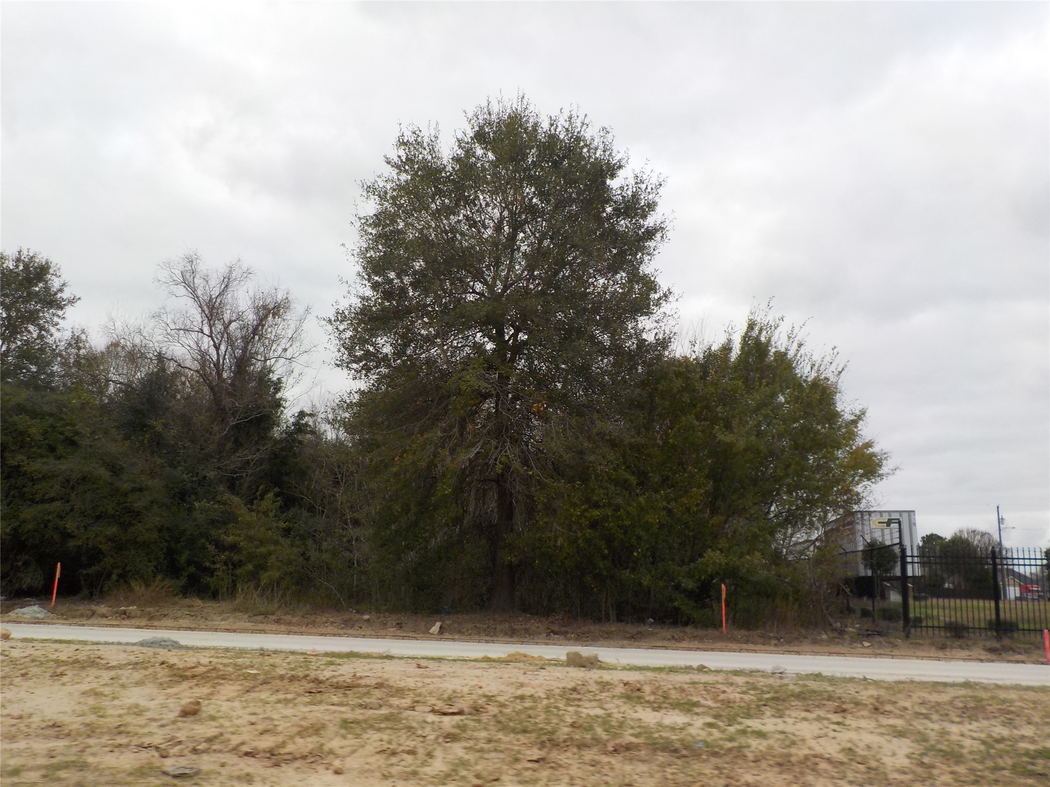 a view of backyard with green space