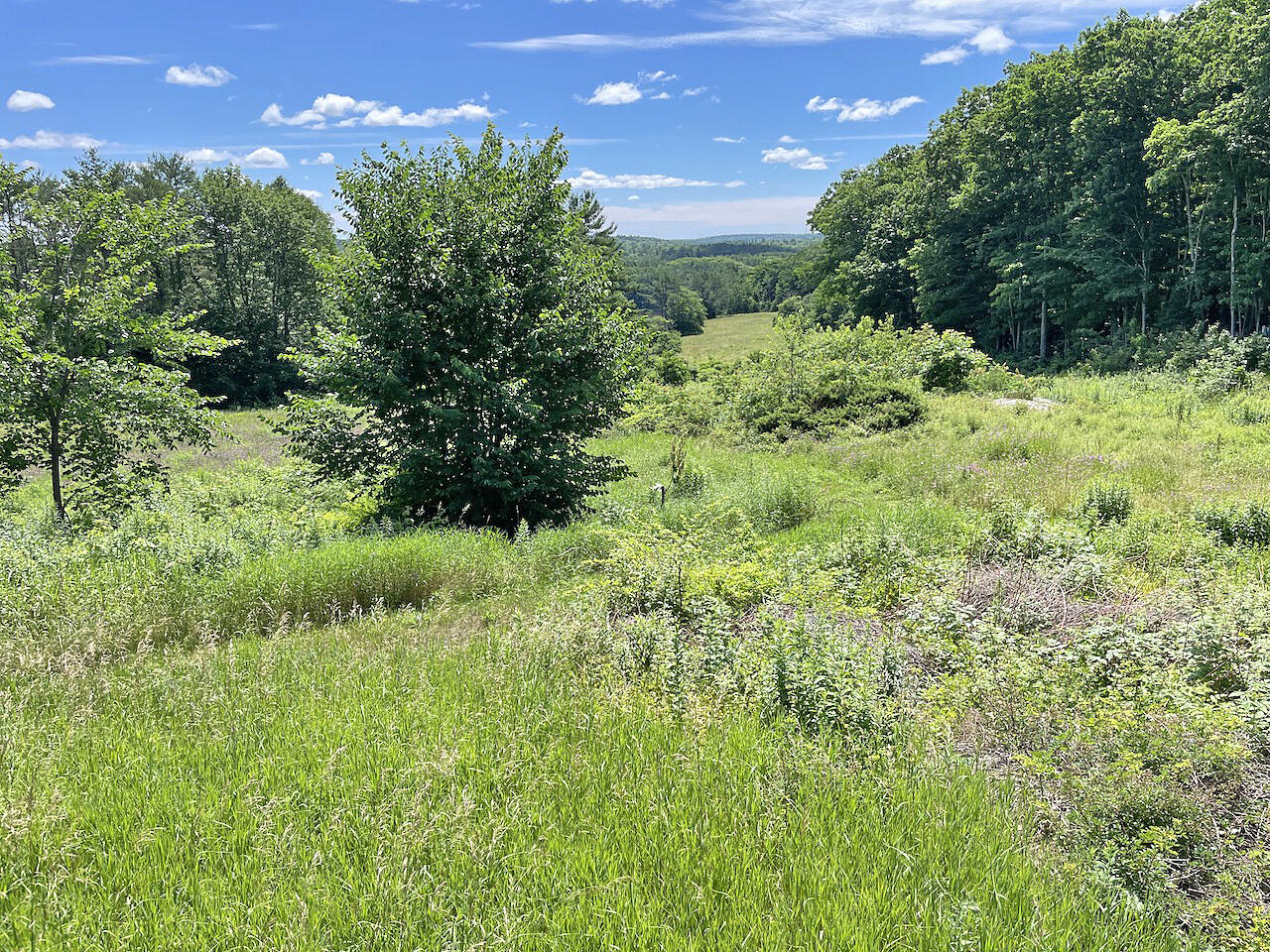 306 Golden Ridge Road Alna, ME 04535 - Photo 17 of 49 Fields from Barn