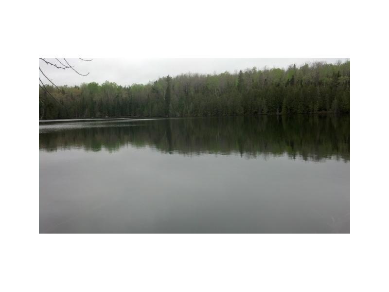 Off County Road New Limerick, ME 04761 - Photo 4 of 17 View.