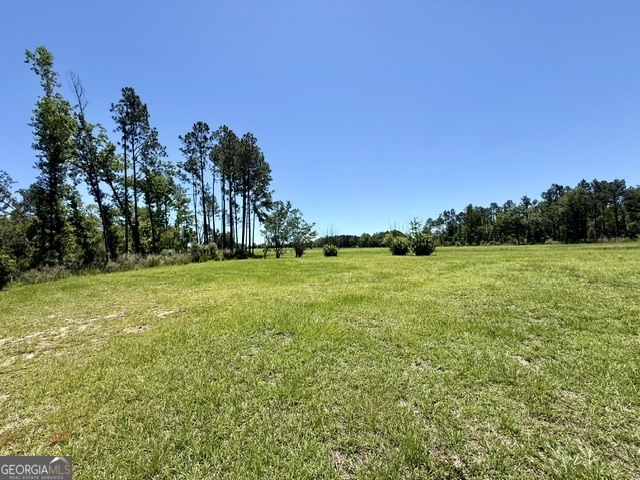 1102 Morgan Road Metter, GA 30439 - Photo 52 of 56