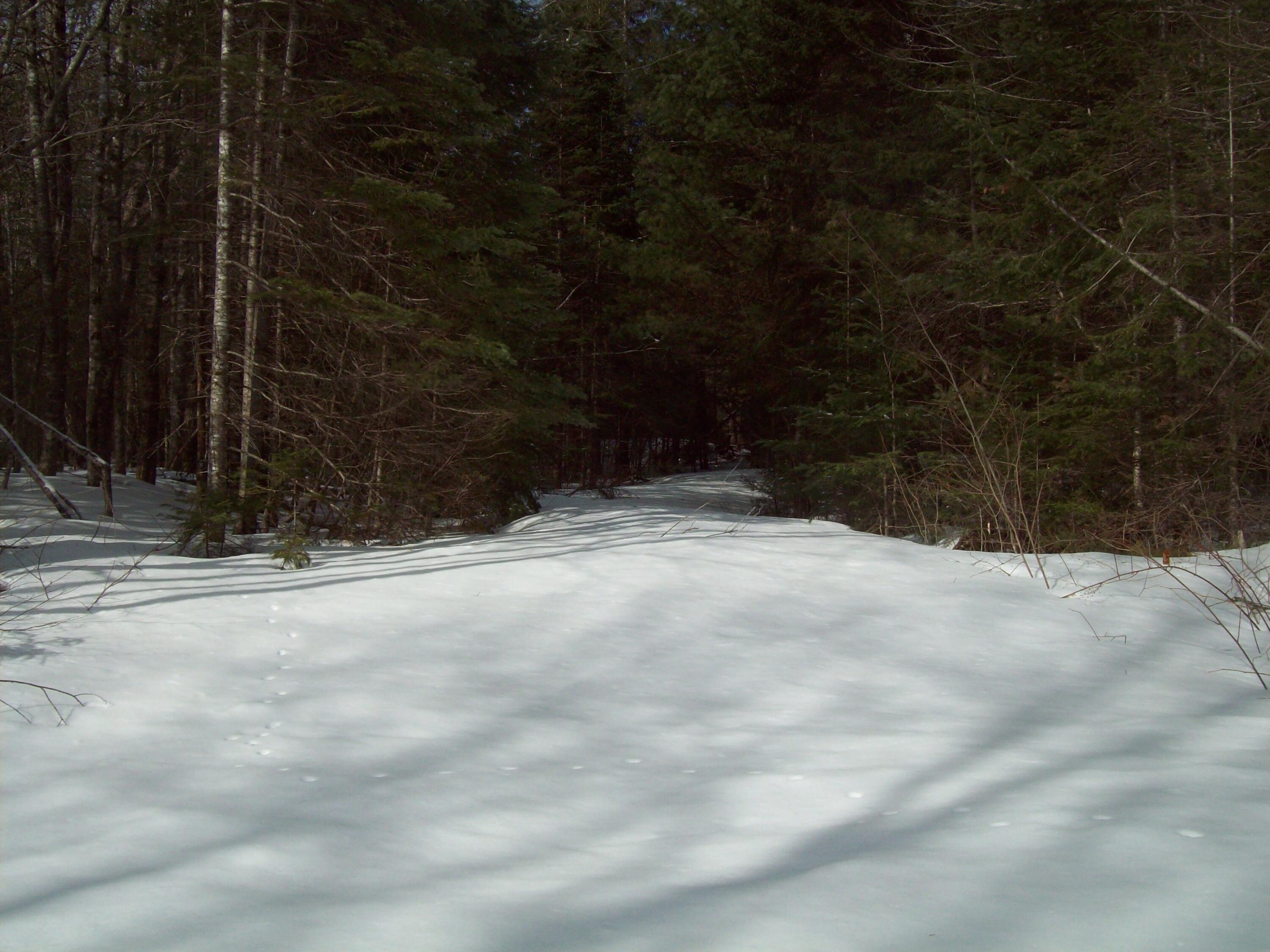 580 Town Line Road Springfield, ME 04487 - Photo 19 of 21 100_2522