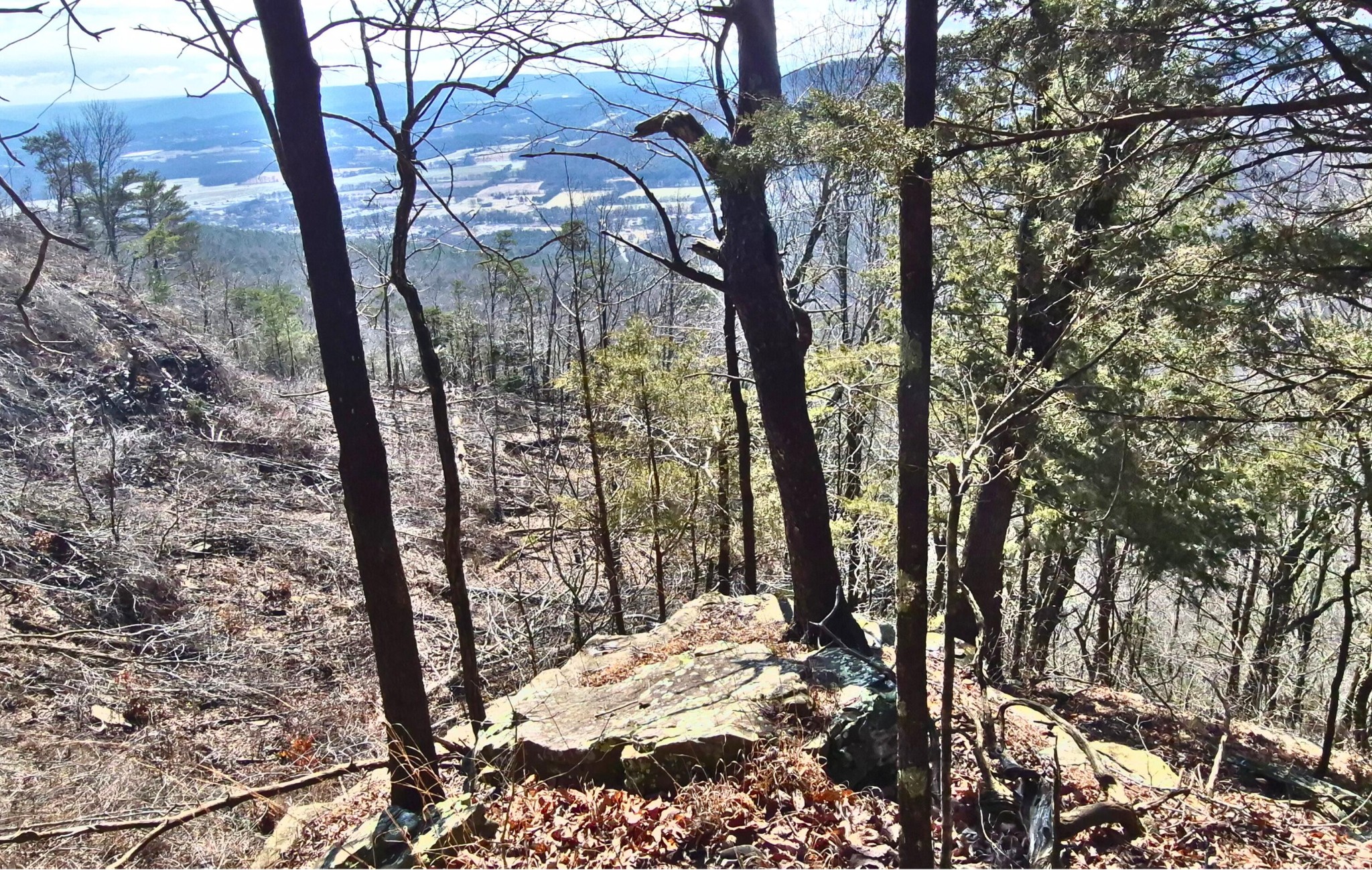 9 Lodge Point Road South Pittsburg, TN 37380 - Photo 12 of 26 a view of outdoor space and trees