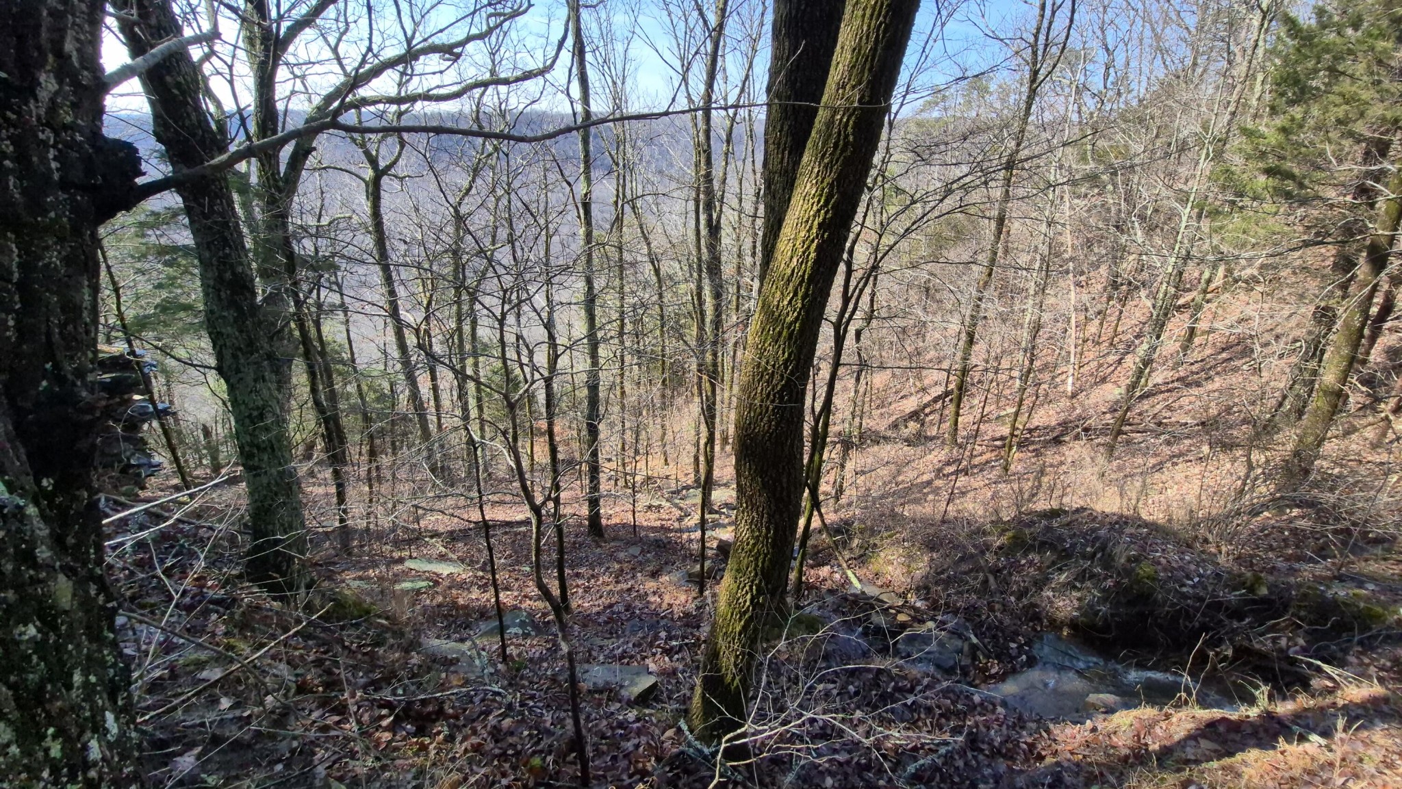 9 Lodge Point Road South Pittsburg, TN 37380 - Photo 18 of 26