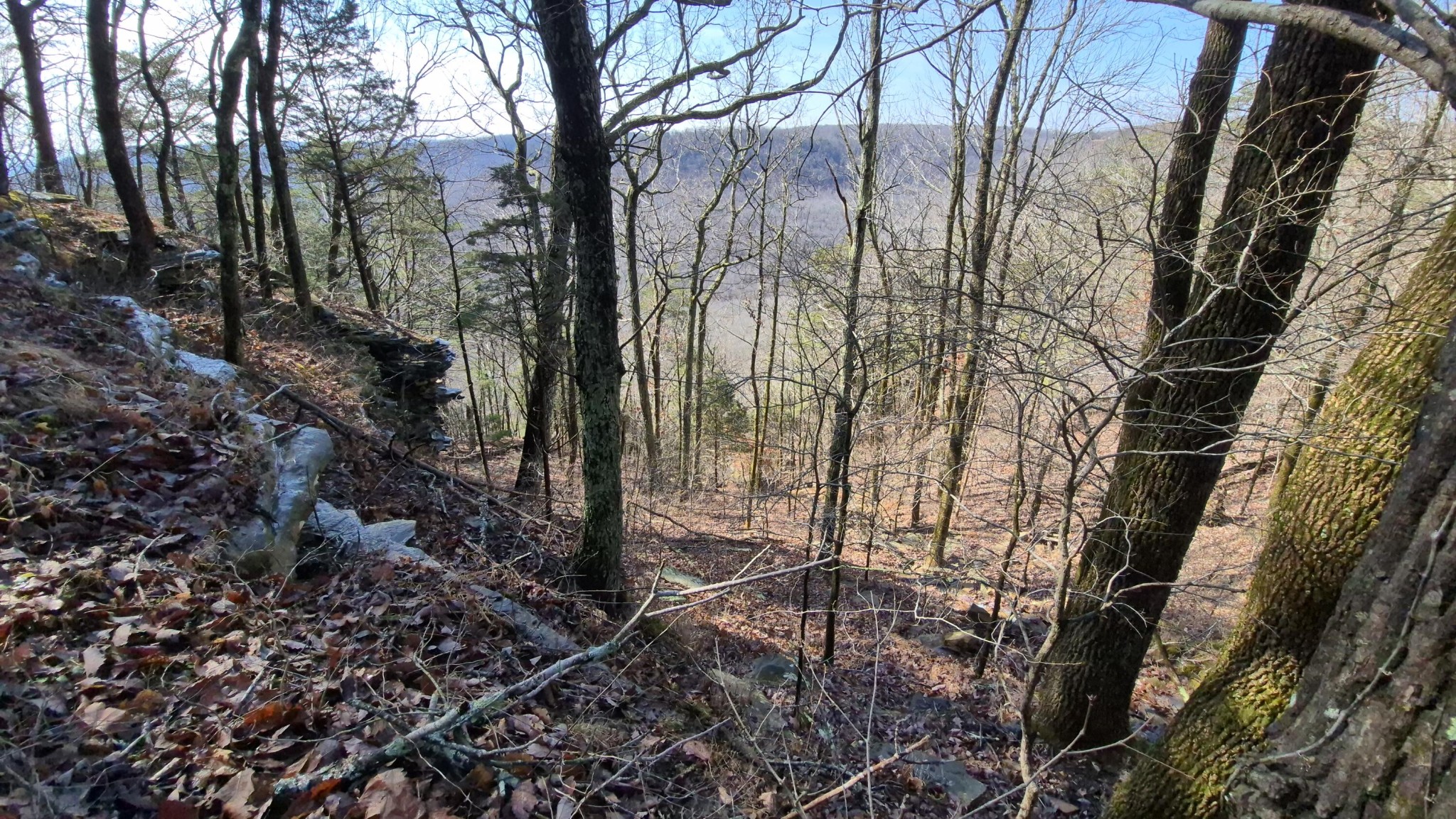 9 Lodge Point Road South Pittsburg, TN 37380 - Photo 19 of 26